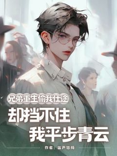 老书虫力荐兄弟重生偷我仕途，却挡不住我平步青云免费无弹窗阅读