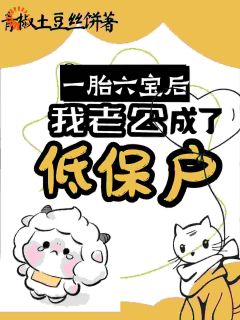 全章节小说一胎六宝后，我老公成了低保户青椒土豆丝饼最新阅读