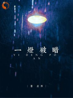 无广告小说一灯破暗-温昭谢承渊在线阅读