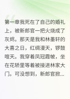 萧寒风林墨轩梦瑶小说<重生后我成了纸片人>全文在线阅读