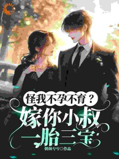 怪我不孕不育？嫁你小叔一胎三宝小说免费版阅读抖音热文