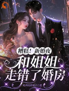 免费完结小说糟糕！新婚夜，和姐姐走错了婚房苏晚傅承洲无弹窗免费阅读