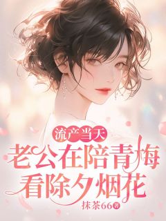 流产当天，老公在陪青梅看除夕烟花小说的书名是什么