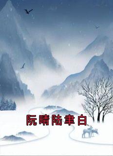 阮晴陆聿白阮晴陆聿白全章节免费阅读