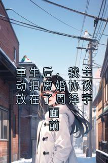 重生后，我主动把离婚协议放在了周泽宇面前小说主角是沈溪周亦然全文完整版阅读