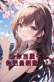 让你当质子，你把皇朝掀了？小说全章节目录阅读BY佚名完结版阅读