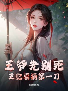 优质新书王爷先别死，王妃要捅第一刀最新章节小说全文阅读