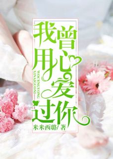 (精品)我曾用心爱过你小说