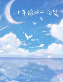 十年婚姻一场梦免费阅读全文，主角杨晓月章立陈薇小说
