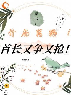 林婉渝傅沉小说抖音热文穿书:开局离婚!首长又争又抢!完结版