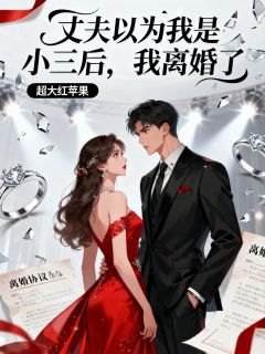 丈夫以为我是小三后,我离婚了陆怀瑾江媛媛小说完整在线阅读