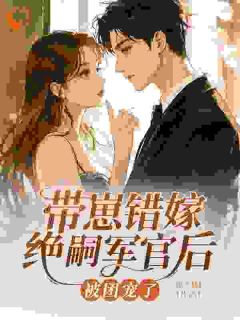 带崽错嫁绝嗣军官后被团宠了乔依傅霆枭免费阅读-带崽错嫁绝嗣军官后被团宠了浙A猛1小说