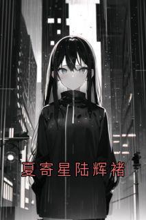 夏寄星陆辉褚by大神小说完结版在线阅读