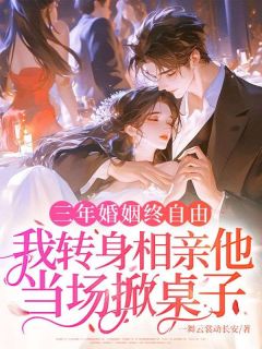 沈瑜陆兆言小说结局