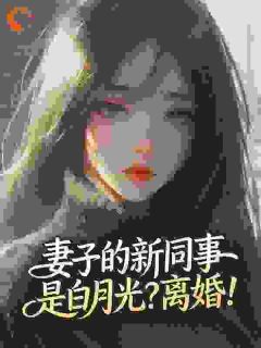 快手陆沉林月璃主角的小说全本章节大结局