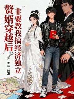 赘婿穿越后,非要教我搞经济独立小说全集(萧澈阮令妤翠玉)无弹窗广告阅读