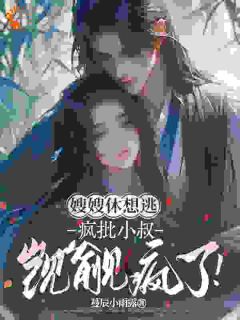 【新书】嫂嫂休想逃，疯批小叔觊觎疯了！主角苏筱枝萧南野全文全章节小说阅读