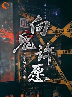 （好书推荐）向鬼许愿小说最新章节小说全文阅读