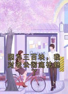 最新小说因为三百块,我对老公彻底祛魅了主角陈岚江枫全文在线阅读-随缘阅读网