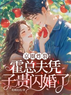 (抖音)京圈炸裂!霍总夫凭子贵闪婚了吴桂花霍城野小说免费全文阅读
