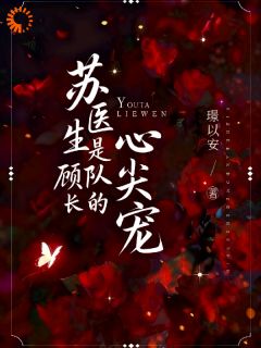精品小说苏医生是顾队长的心尖宠全文目录畅读