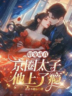 主角宋安璃周时淮小说,暗宠成真,京圈太子他上了瘾免费阅读全文