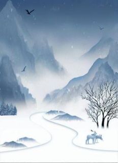 雪落时爱已归零(沈烨林晚清)精彩小说目录阅读