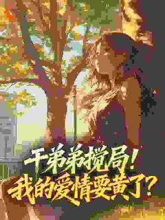 干弟弟搅局！我的爱情要黄了？（陆云轩顾清辞）精彩小说目录阅读