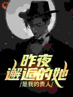 丁宇许婷全本小说 昨夜邂逅的她,是我的贵人全文免费在线阅读