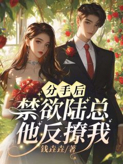 火爆分手后，禁欲陆总他反撩我小说，主角是林昭陆景淮在线阅读全文无删减