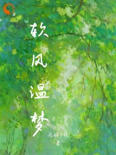 主角是温软沈司年的小说-软风温梦完整章节阅读