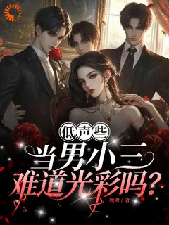 （全集-免费）低声些，当男小三难道光彩吗？完本小说_宋璇傅君辞全文免费阅读
