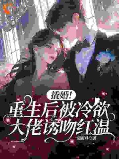 【抖音热推】宋挽笙容恕洲全文在线阅读-撬婚！重生后被冷欲大佬诱吻红温全章节目录