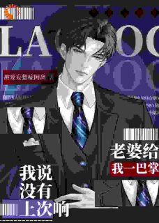 老婆给我一巴掌，我说没有上次响by被爱妄想症阿离免费阅读小说大结局