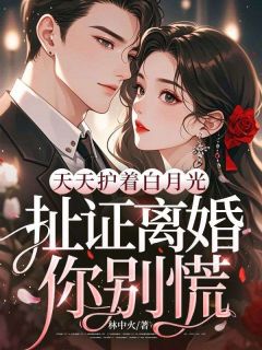 许南知顾西洲小说章节目录阅读-天天护着白月光，扯证离婚你别慌在哪免费看
