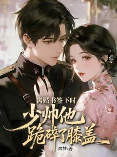 离婚书签下时，少帅他跪碎了膝盖小说免费版阅读抖音热文