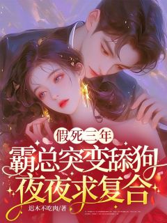 假死三年,霸总突变舔狗夜夜求复合在线全文阅读-主人公秦欢陆司沉小说