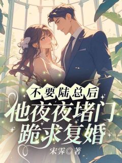 不要陆总后,他夜夜堵门跪求复婚by宋霁-随缘阅读网