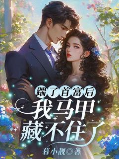 抖音爆款小说踹了首富后,我马甲藏不住了桑宁傅修远免费txt全文阅读