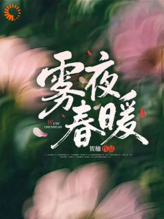 雾夜春暖小说百度云完整章节列表免费阅读