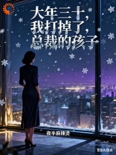 大年三十,我打掉了总裁的孩子林晚星陆行舟by夜半麻辣烫免费看