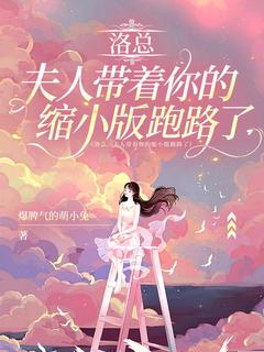 沐小婉洛锦轩章节免费阅读