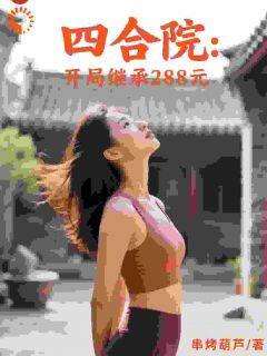 书荒推荐四合院:开局继承288元(吴奎傻柱)在线试读