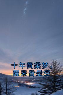 高质量小说十年黄粱梦,醒来皆是空在线试读