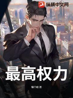 抖音热推小说最高权力全文在线阅读-随缘阅读网