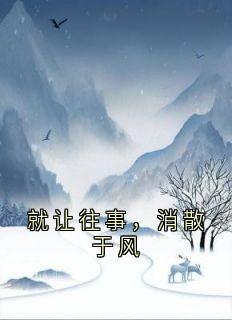 就让往事,消散于风小说最新章节 齐婉言陆远舟结局是什么