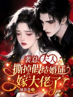 爆款小说由作者屠苏苏所创作的裴总,夫人撕掉假结婚证嫁大佬了在线阅读