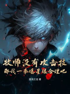 (抖音)牧师没有攻击技,那我一拳爆星很合理吧 主角汪海苏沐沐-随缘阅读网