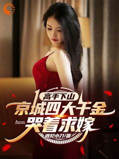 高手下山,京城四大千金哭着求嫁小说的书名是什么-随缘阅读网