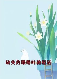 作者佚名写的缺失的眼睛叶驰程诺小说大结局全章节阅读